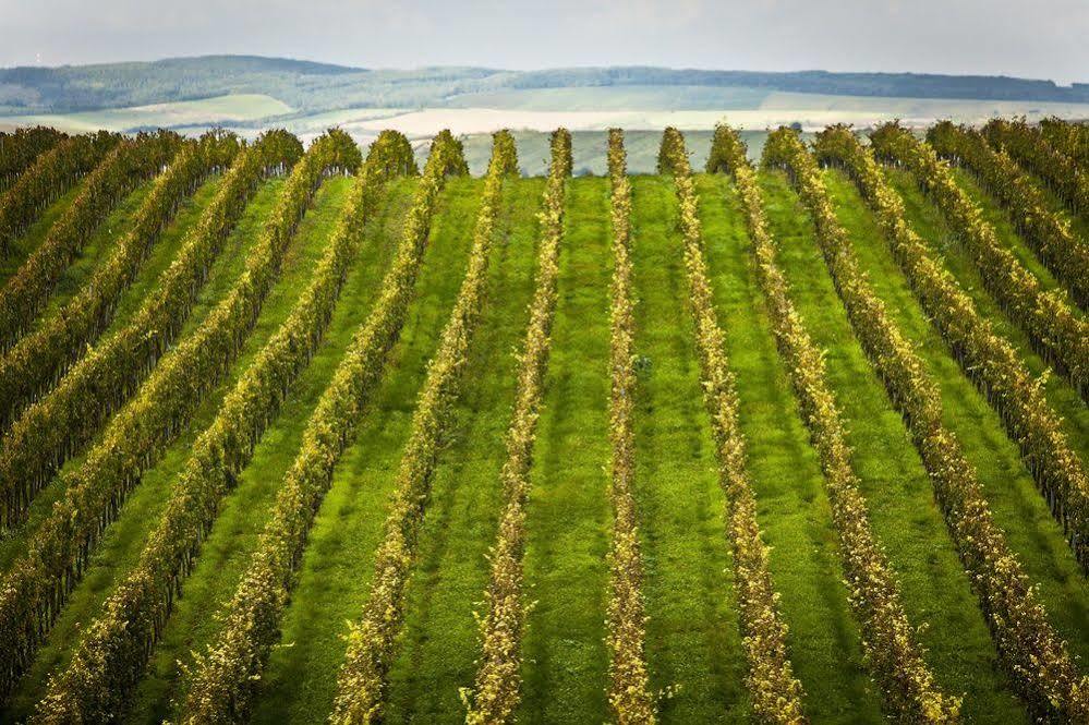 Wine Wellness Hotel Amande Hustopece Bagian luar foto